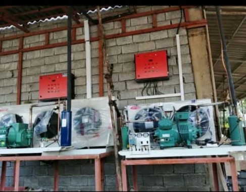 تعمییر کمپرسور سردخانه